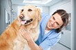 © BillionPhotos.com - Young happy Veterinarian and dog Pet in a Clinic, AI generated image