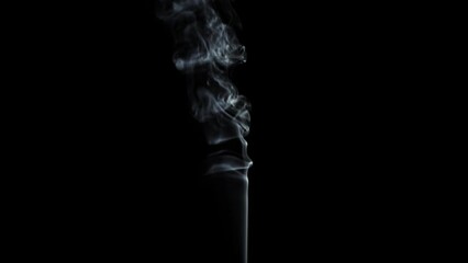Wall Mural - Abstract white smoke animation on a black background. Smoke, steam, explosion, fire, puff, steady vapors. Realistic smoke cloud from up and button with floating fog. Best for using in composition.