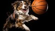 Cute Dog with orange basketball ball. Time to game. Happy Dog puppy playing basketball on Sports Court. Active, playful purebred dog playing basketball, jumping