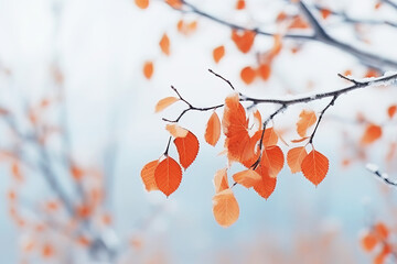 Wall Mural - Snowy tree branch with dry orange leaves in the forest on blurred background, winter background.