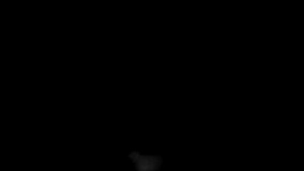 Wall Mural - Abstract white smoke animation on a black background. Smoke, steam, explosion, fire, puff, steady vapors. Realistic smoke cloud from up and button with floating fog. Best for using in composition.
