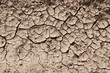 Dirt ground with cracks. Sun-cracked mud surface.