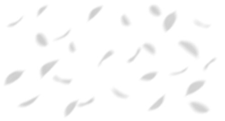 Wall Mural - shadow leaves flying movement isolate backgrounds 3d illustrations png