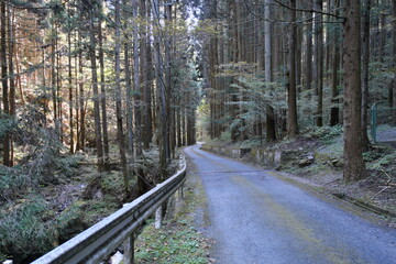 Wall Mural - 秩父の山道　Mountain Roads in Chichibu