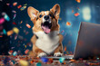 Cute dog with a laptop. happy corgi dog sitting with a laptop and colourful confetti popper falling on isolated white background. Holiday celebration concept. 