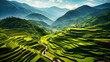Scenic depiction of terraced fields on a mountainside, showcasing adaptability in agriculture,