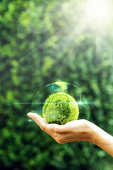 Wall Mural - Hand holding a green grass earth globe in bubble with light reflection, flare light on natural background for Friendly globe day, environmental management, business concept.Banner.Copy space.Vertical.