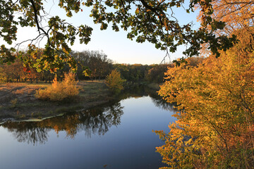 Wall Mural - autumn quiet over river in forest