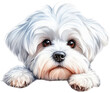 Maltese Dog Peeking Illustration, Charming Dog Art 