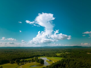 Poster - Tranquil landscape of a peaceful pond situated in the middle of a lush green meadow.