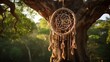A dream catcher in the embrace of a gnarled tree, its ancient wisdom woven into each knot.