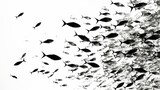 fish silhouettes background.