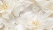 © Anna - a bunch of white flowers that are in the middle of a flower wallpapers, flower wallpapers, wallpapers, wallpapers, wallpapers.  generative ai