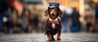 An elegant dachshund dog wearing a top hat and bow tie. Generative AI.