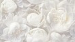 © Olga - a close up of white flowers on a white background with lots of petals in the middle of the petals and the middle of the petals in the middle of the petals.  generative ai