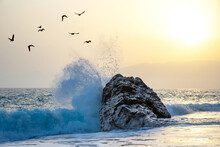 Sea Wave Beats On The Rock Against The Sunset. Silhouettes Of A Flock Of Flying Birds