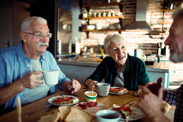 Wall Mural - Group of senior people having lunch together at home