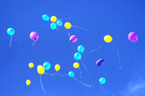 Fototapeta  - many multicolored balloons flying in the blue sky. Holiday accessories and decorations