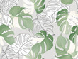 Foliage seamless pattern, Monstera Albo leaves on light grey