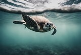 Fototapeta Łazienka - The moment a sea turtle breaches the water's surface