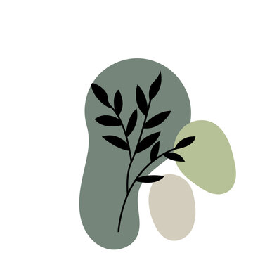 multiple aesthetic blob with leave and dashline shape 