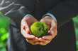 Environment Earth Day hands holding earth  environmentally sustainable Save Earth.  the Environment World Earth Day concept