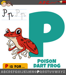 Sticker - letter P from alphabet with cartoon poison dart frog