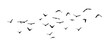 Flying birds silhouette flock. hand drawing. Not AI, Illustrat3 . Vector illustration