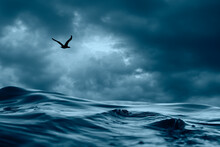 Seagull Flying Over The Ocean Waves In A Stormy Sky