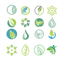 Wall Mural - Leaf icon vector set isolated on white background. Various shapes of green leaves of trees and plants. Elements for eco and bio logo.