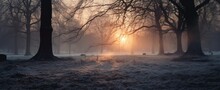 Winter Solstice In Snowy Forest Or Park Natural Scene. Hibernal Solstice. Sparkling Snow In The Snowy Forest And Low Sun. Winter Solstice Half Of Earth Is Tilted The Farthest Away From The Sun