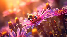 Bee Swarming On Purple Flowers In The Morning