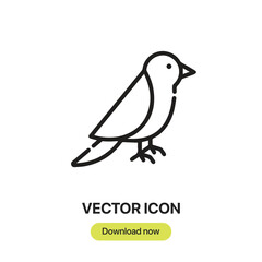 Fototapete - Bird icon vector. Linear-style sign for mobile concept and web design. Bird symbol illustration. Pixel vector graphics - Vector.