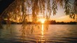 sun setting across the lake with waving leaves of the willow tree
