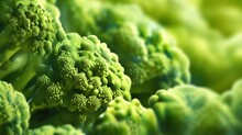A Close Up Of Broccoli Plants With A Blurry Background, AI
