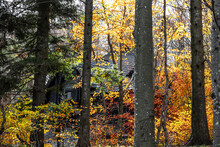 A Wooden Cabin In The Background Of A Dense Forest In Autumn