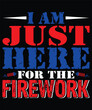 i am just here for the fire work