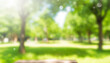 Blur park garden tree in nature background, blurry green bokeh light outdoor in summer background