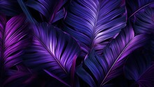 Purple Feathers Background.purple Texture Background. Purple Leaves Background. Natural Background.