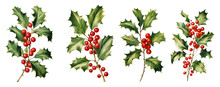 Christmas And New Year Symbol Decorative Elements. Holly Berry Set. Watercolor Colorful Floral. Transparent Background.