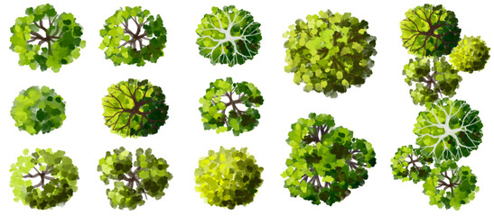 Wall Mural - vector set of top view green tree for outdoor plan or map and architecture drawing, elements for env