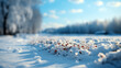 Winter snow background with snowdrifts, with beautiful light and snow flakes on the blue sky in the evening, banner format, copy space