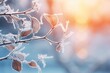 Frost covered branches and dried leaves in soft morning light, winter cold beauty, nature detail, serene backdrop.
