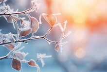 Frost Covered Branches And Dried Leaves In Soft Morning Light, Winter Cold Beauty, Nature Detail, Serene Backdrop.