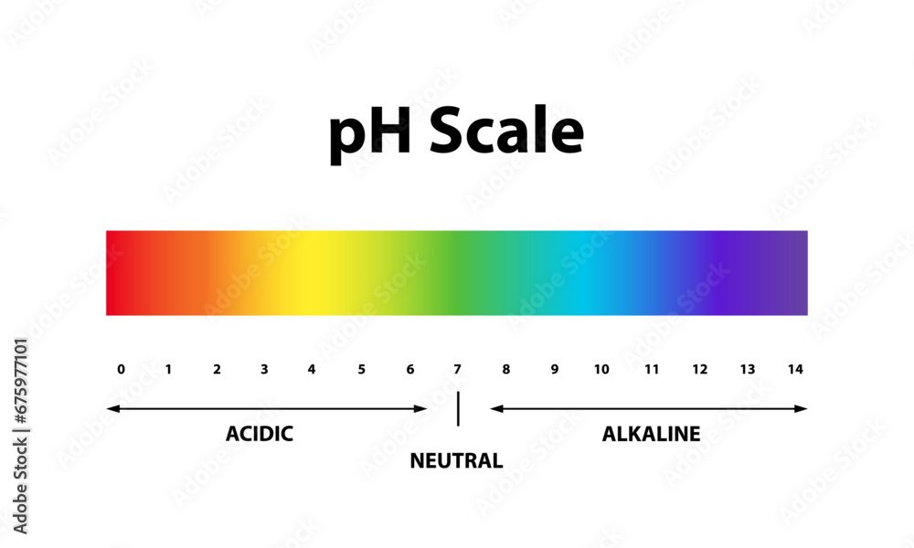 Quantitative Ph level Scale chart indicator diagram value. Alkaline