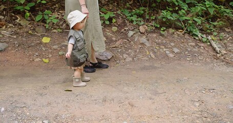 Wall Mural - happy family mother holding hand cute little Asian toddler child daughter girl walk in forest enjoying Learning about Nature in the rainforest, adventure explorer camping travel trip