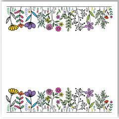 Wall Mural - vector botanical seamless border with trendy meadow greenery and flowers.