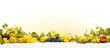 In the isolated flat fields surrounded by a white background the vibrant yellow color of the organic fruit signals a summer harvest brimming with healthy nutrition embodying the natural bea