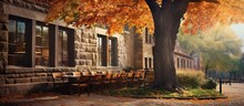 In The Crisp Autumn Day The Old Tree With Colorful Leaves Stood Tall Beside The Grassy Lawn While An Elegant Building With A Stone Wall Showcased Beautiful Architecture Through The Restaura
