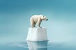 nature bear wildlife polar bear arctic conservation ice animal wilderness cold endangered preservation ecology winter snow climate change environment change warming global warming environmental 